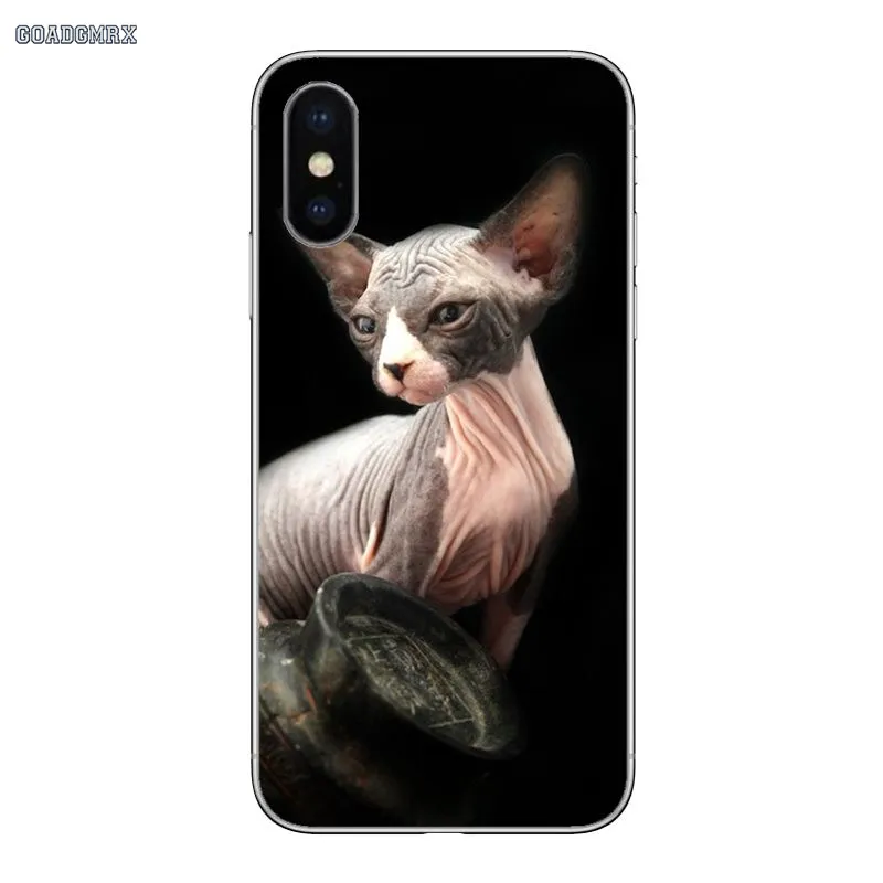 Sphynx Cat Luxury Cover For iPhone 11 X XR XS Pro MAX 4 4S 5 5S SE 5C 6 6S 7 8 Plus Transparent Soft Shell Covers | Мобильные