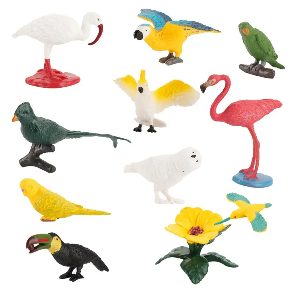 

10 Pieces Simulated Bird Model Plastic Realistic Animal Figure Toy Dollhouse