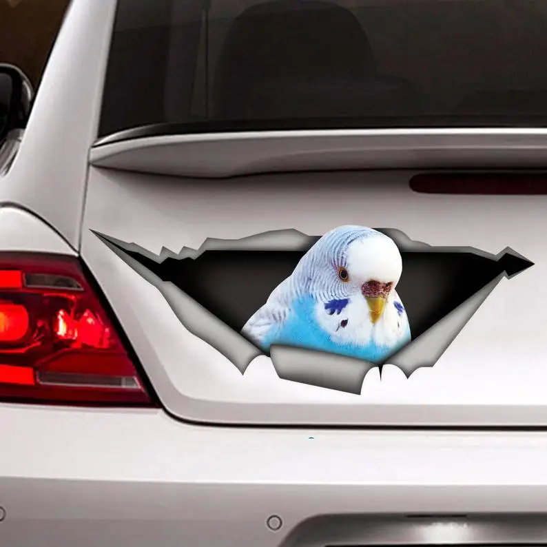 

Budgie bird car decal, blue budgie sticker, parrot decal, pet decal