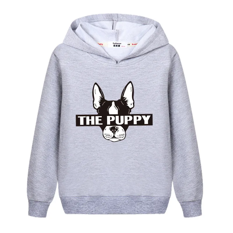 Детский свитер с рисунком собаки Осенняя хлопковая толстовка капюшоном для