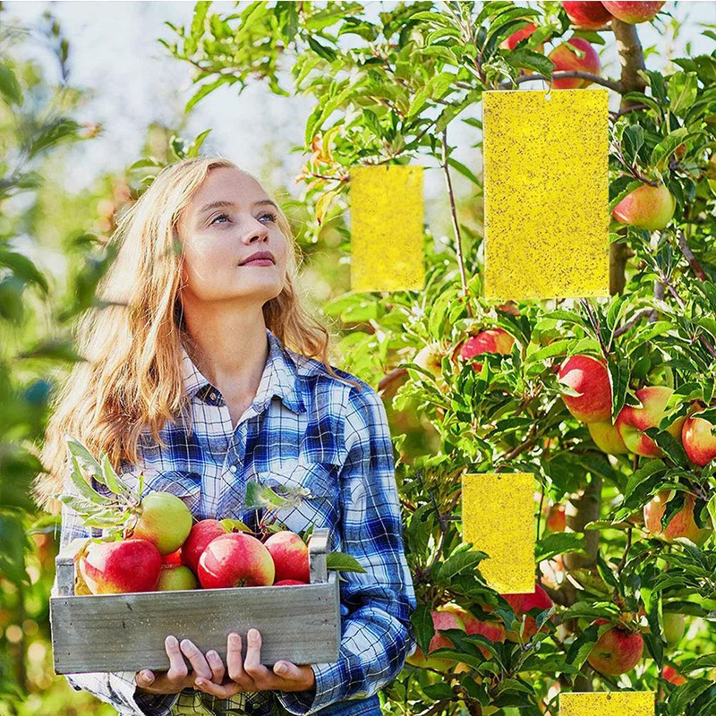 Наклейка-наклейка для борьбы с насекомыми | Дом и сад
