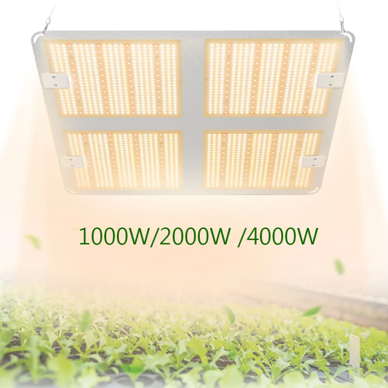 1000W 2000W 4000W Quantum растут светильник Sunlike полный спектр светодиодный доска