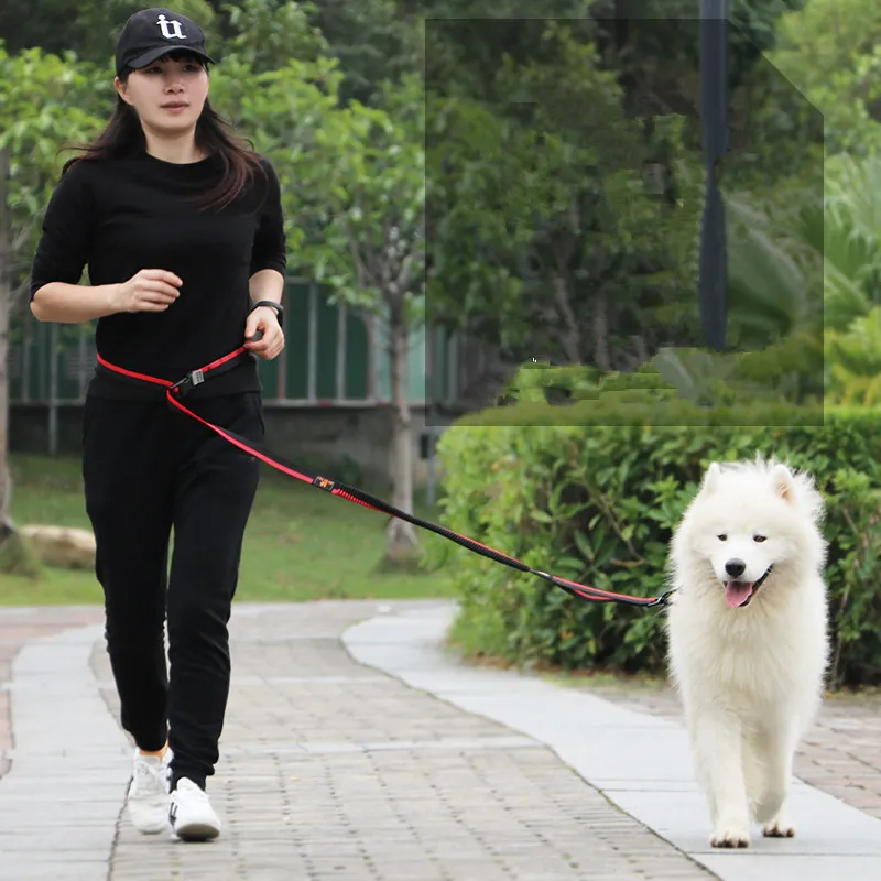 Поводок для собак поводок ремни прогулок перекинул поводки оставляющие руки