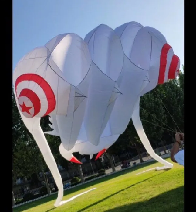 Большие воздушные змеи для взрослых Однолинейный кайт Рипстоп нейлоновая ткань