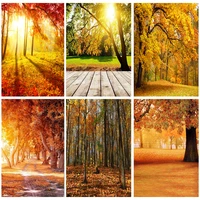natural scenery photography background fall forest landscape travel photo backdrops studio props 1911 cxzm 37