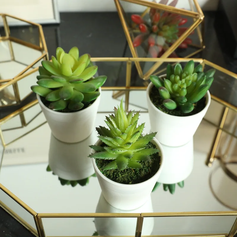 Искусственные суккулентные растения бонсай имитация алоэ лотоса латексные