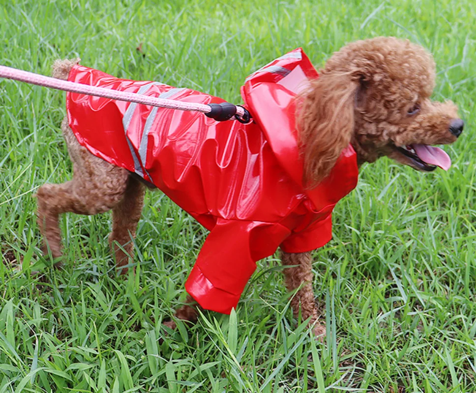 Летнее уличное пальто от дождя для щенков дождевик с капюшоном