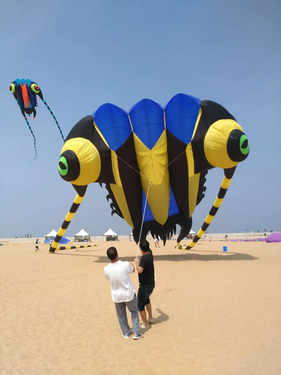 KITE-Large Easy Flyer Мягкие воздушные змеи 16 кв.м Трилобит - это большой индивидуальный