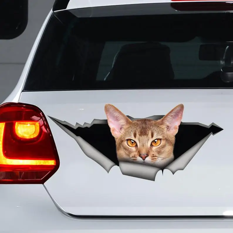 

Cute Abyssinian cat car decal, funny sticker ,Abyssinian cat car magnet