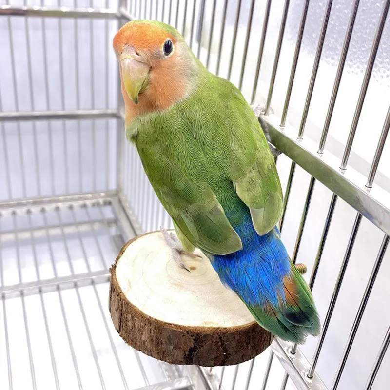 

Parrot Pet Bird Hamster Springboard Stationboard Chew Toy Wooden Hanging Swing Bird Cage Parakeet Parrot Cage Accessories