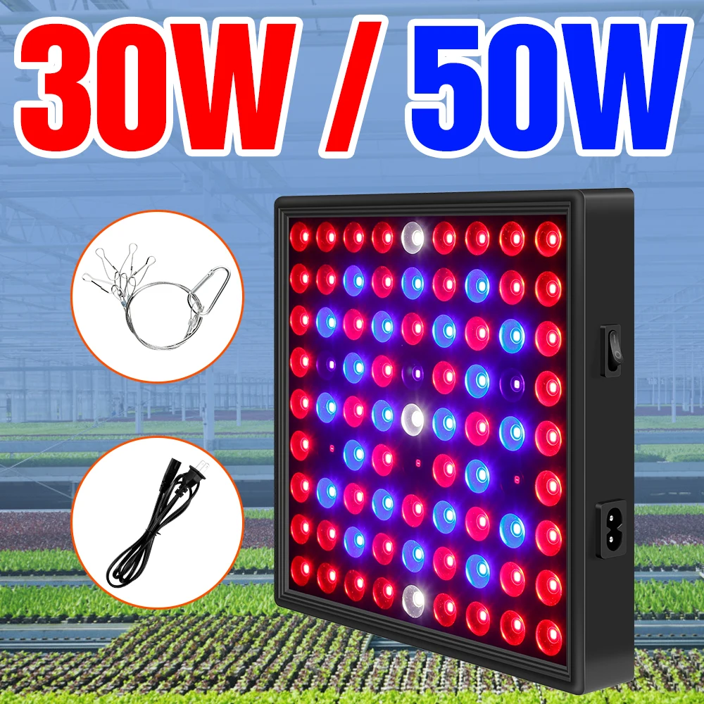 

LED Full Spectrum Plant Light EU US UK Plug Phyto Grow Lamp 30W 50W Seedling Fito Light LED Indoor Flower Seed Growing Tent 220V