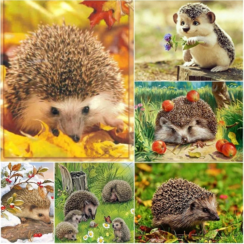 

Алмазная 5D картина «сделай сам», мозаика с ежиком, полная вышивка, стразы из смолы, вышивка крестиком, настенное искусство, украшение для спа...