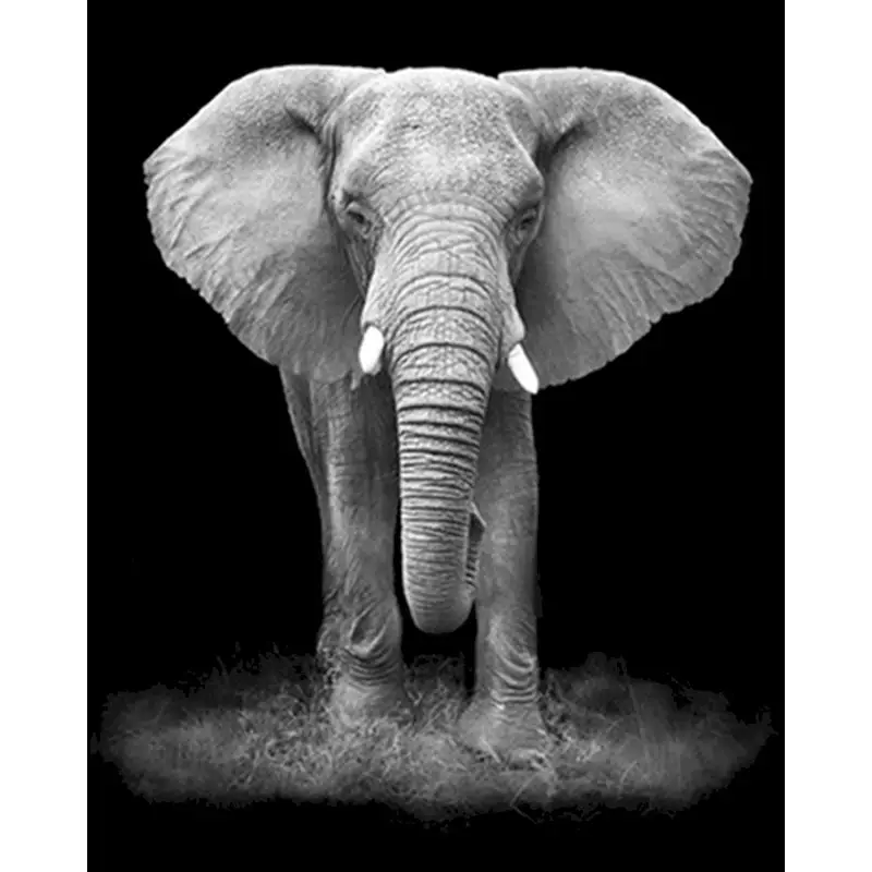 

5D DIY Poured Glue Diamond Painting Kits Scalloped Edge Black and White Animal Canvas Home Decoration Unique Handcraft Gift Art