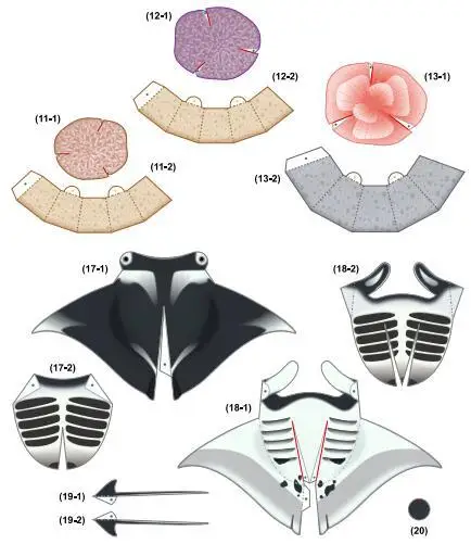 Manta Ray Карп Аквариум 3D бумажная модель Сделай Сам мультяшная ручной работы
