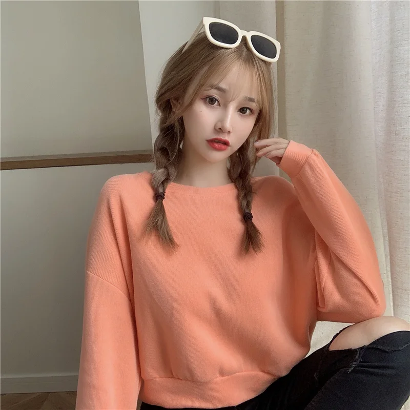 

Cloth Color Long-Sleeved Sweater for Women Short and Simple Rac