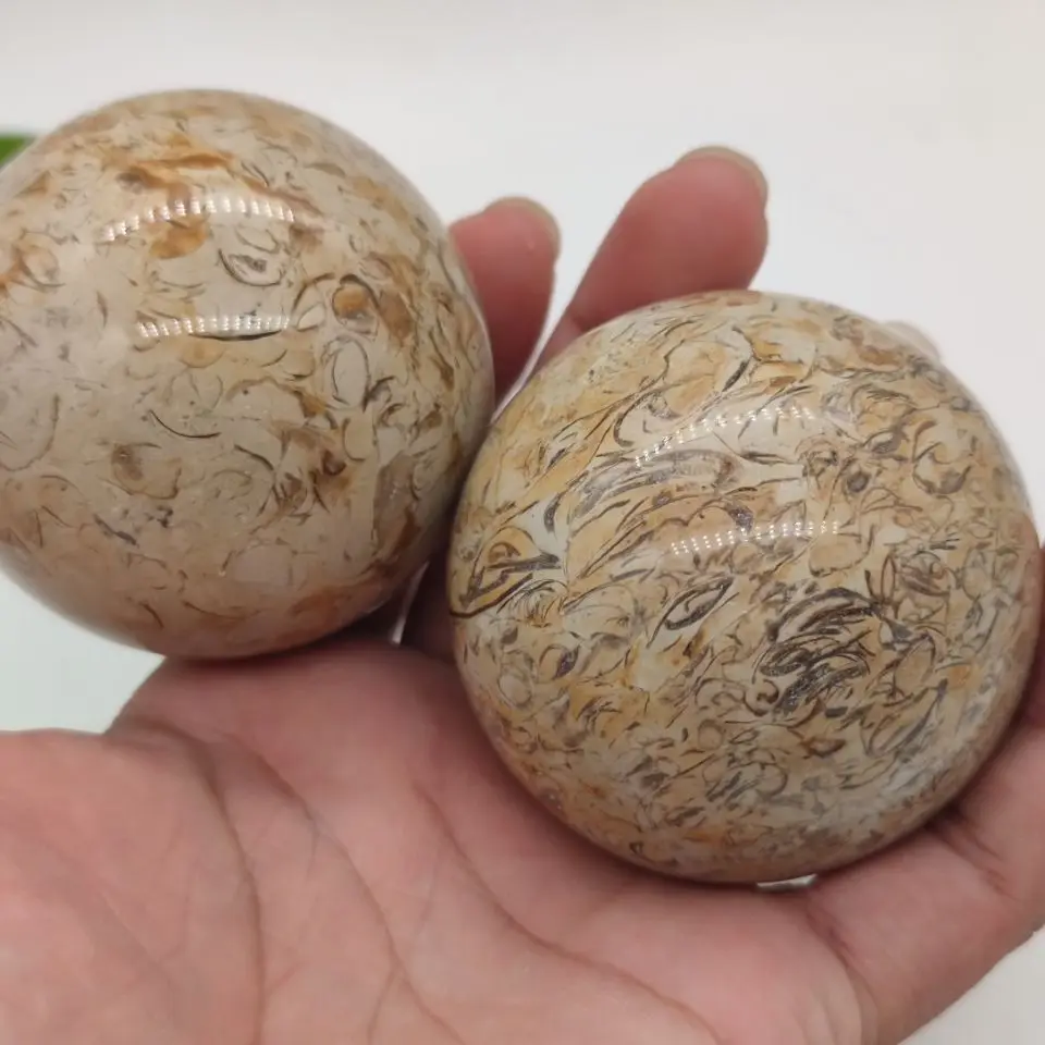 Динозавр костяная Сфера динозавр натуральный ископаемый Агат декоративный