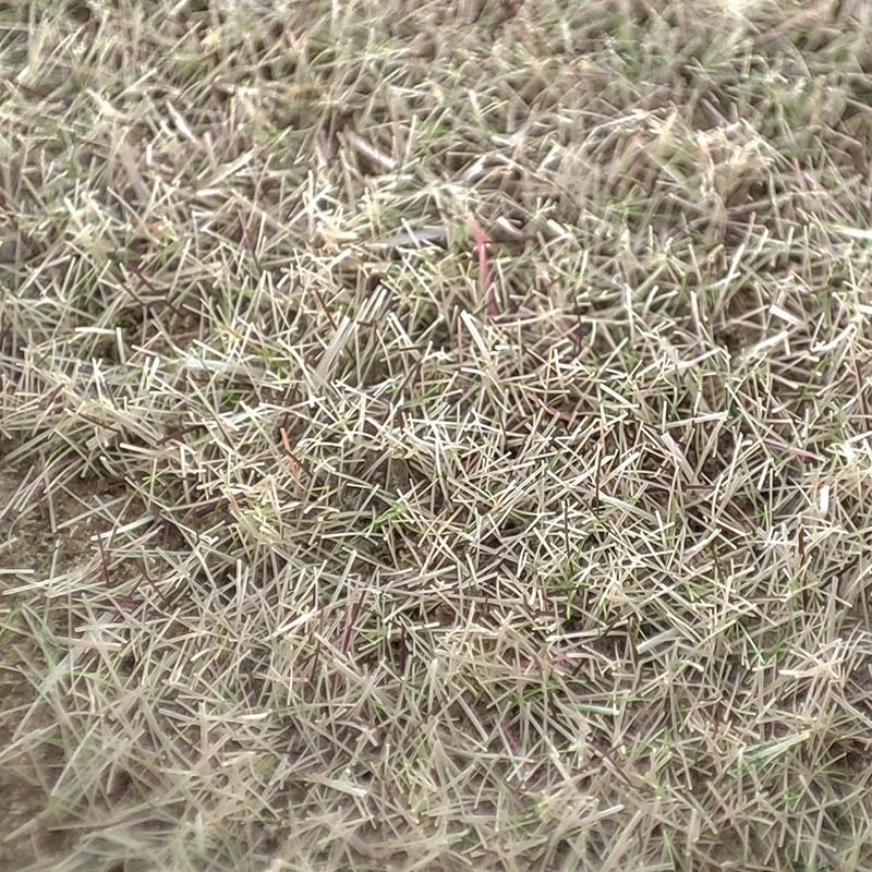 

Статическая трава FunTrying 100 г 3 мм смешанная