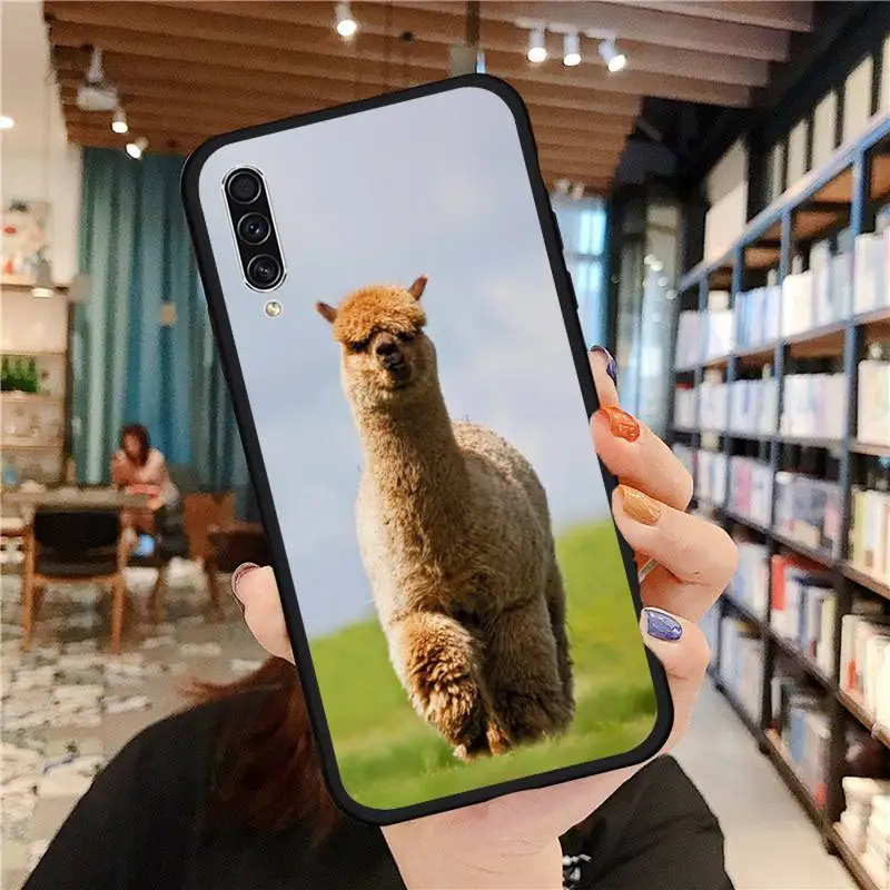 

Lama Llama Alpacas Animal Phone Case For Samsung galaxy A S note 10 7 8 9 20 30 31 40 50 51 70 71 21 s ultra plus