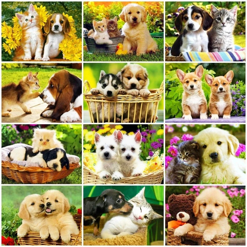 

5D Full Drill Square Round Diamond Painting Dog Rhinestones Diamond Embroidery Animals Mosaic Home Decoration Wall Art Pictures