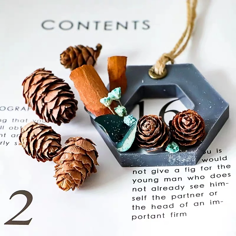 Dried Flower DIY Accessories for Aromatherapy Candle Necklace and Jewelry Making Craft - Real Dry Plants for DIY Candle and Decor - XJj24 image 3