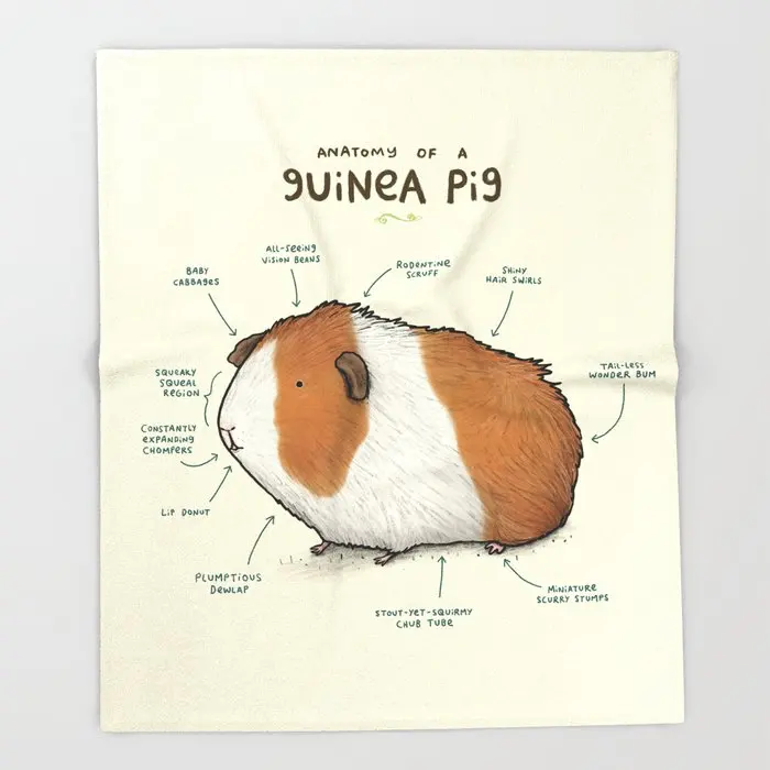 Blanket Custom Anatomy of a Guinea Pig Pattern Throw Blankets Fleece Blanket Sofa/Bed/Plane Travel Plaids Bedding Towel