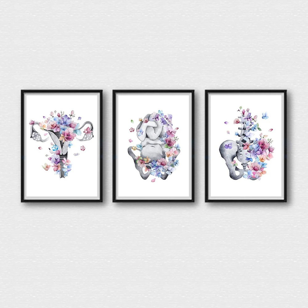 Медицинский плакат по анатомии беременности плод в матке Цветочная матка