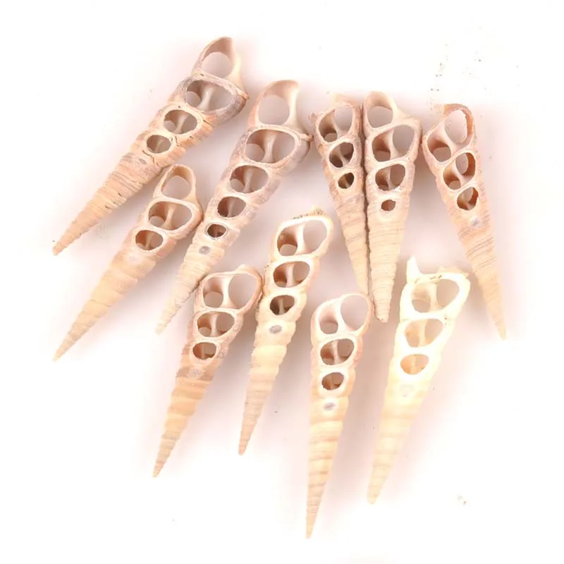 

Раковины из натуральных трехсторонних раковин, 50-70 мм, для самостоятельного изготовления кулонов, раковины для домашнего декора, 4 шт., TRs0369