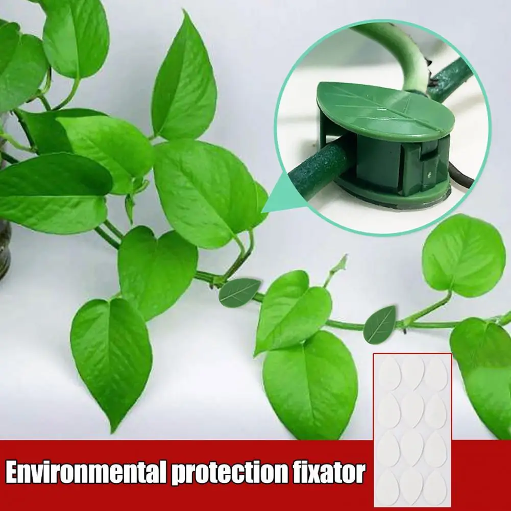 

Wall Vines Clip Plant Climbing Clip Punch Free Not Easy Fall Off Plastic Wall Vines Fixture Clip Plant Support Care