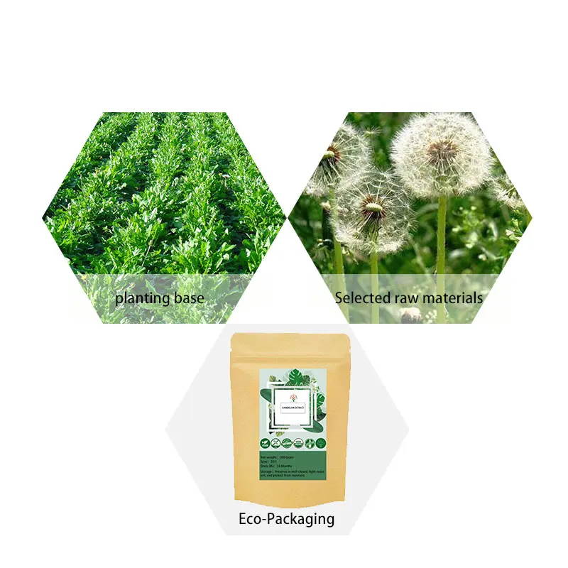 Чистый Экстракт искусственной кожи/порошок экстракта корня Одуванчика экстракт