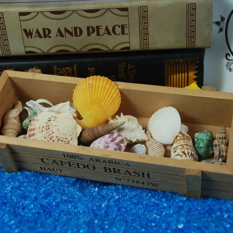 120 г натуральный турбо морской ракушки раковины домик краб Hermit аквариум