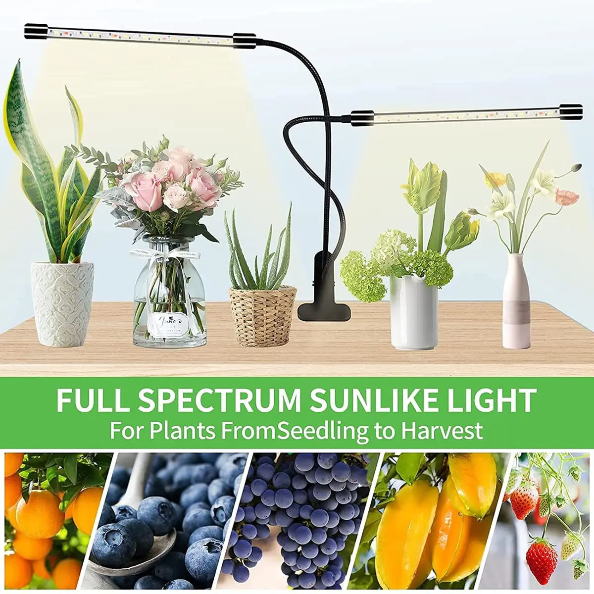 Plant Grow Light Full Spectrum Lamp for Indoor Plants Seedlings Succulents 3 Modes 5-Level Dimmable Auto On/Off Timer 4/8/ |