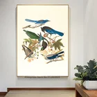 Желтый волнистый пирог, Stellers Jay, ультрамарин Джей и ворона Кларка. Художник Audubon, Джон Джеймс Холст Живопись стены Искусство