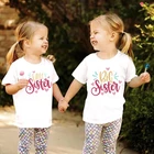 Детская одежда, футболки для старшей сестры, одинаковые наряды для сестер, близнецы, дети, девочка, семейный образ, аналоговые топы, футболки