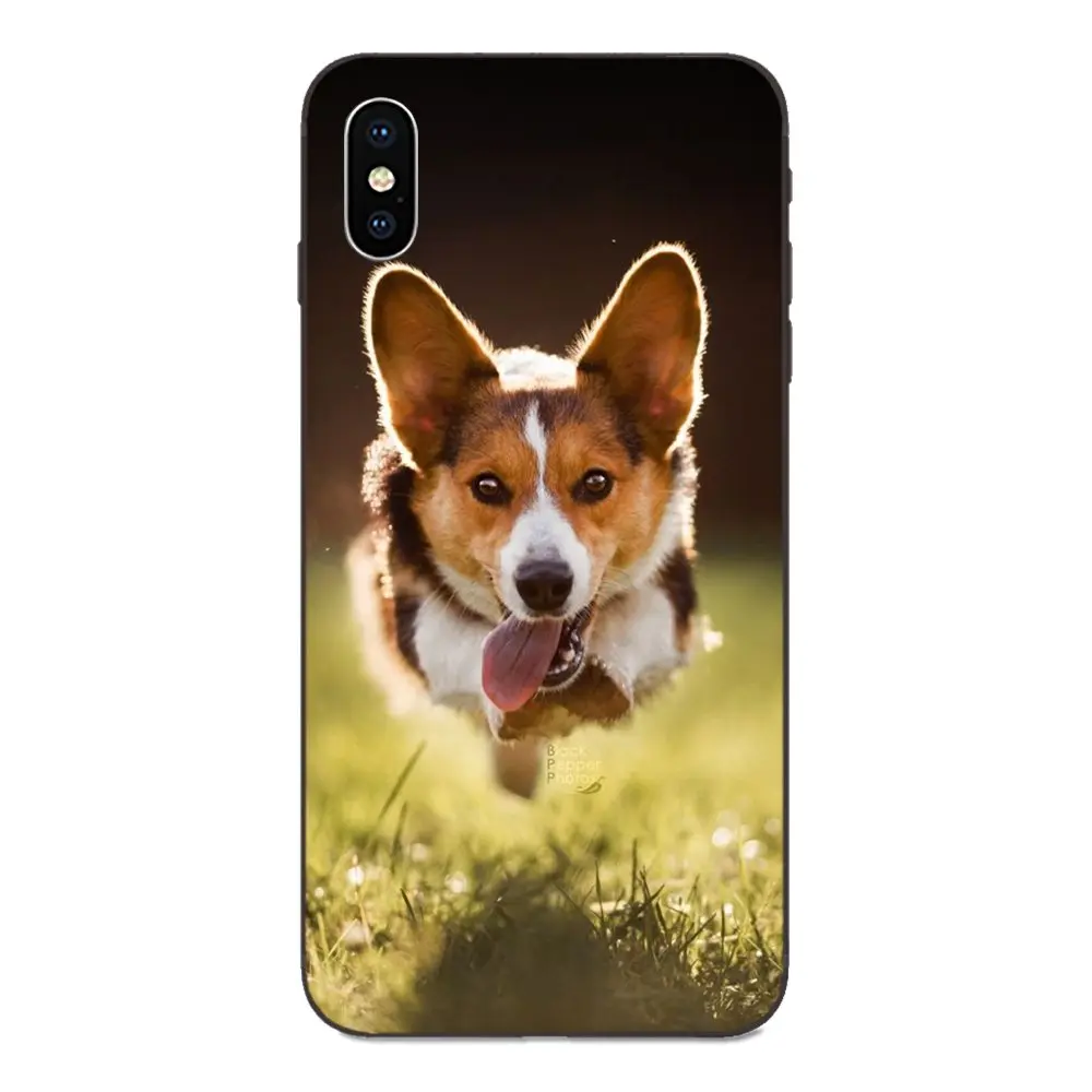 ТПУ чехол Corgi для Xiaomi Redmi Note 3 3S 4 4A 4X 5 5A 6 6A 7 7A K20 Plus Pro S2 Y2 Y3 | Мобильные телефоны и