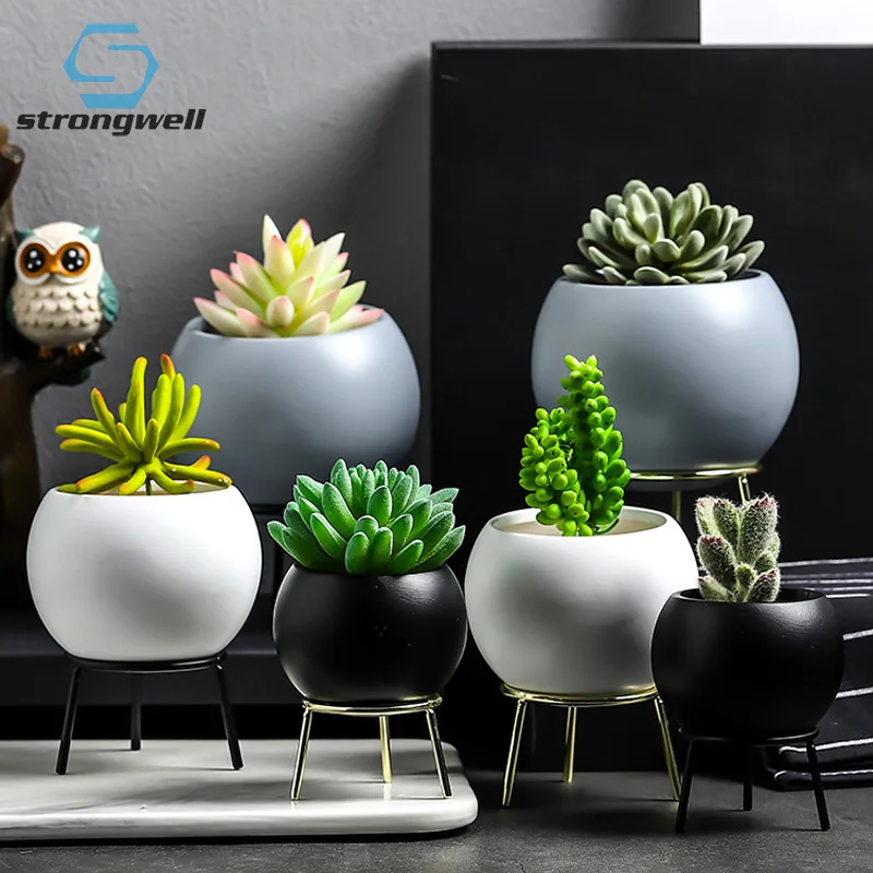 Strongwell скандинавские мини-суккуленты цветочные горшки керамические