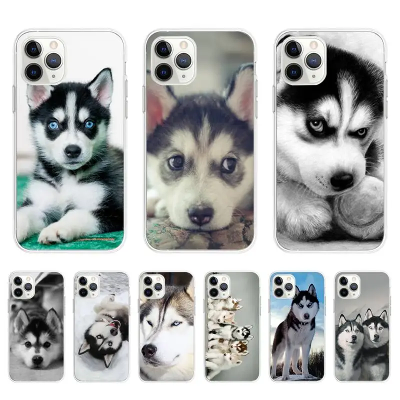 

Animal Husky Dog Luxury Soft Phone Case for iphone 13 11pro 12pro MAX 8 7 6 6S Plus X XS MAX 5 5S SE XR Fundas Capa