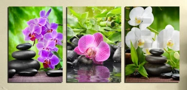 

3 Piece Home Decoration Modern Canvas painting Wall Art flower Stone Flower Picture Print on Canvas for Livingroom No Frame