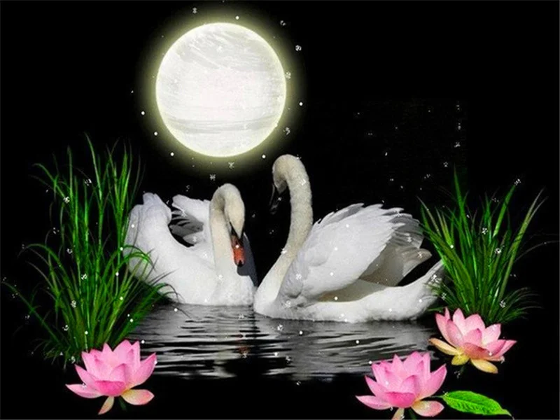 

5D DIY Swan Animal Diamond Painting Kits Full Square Round with AB Drill Mosaic Embroidery Art Crafts Christmas Gift
