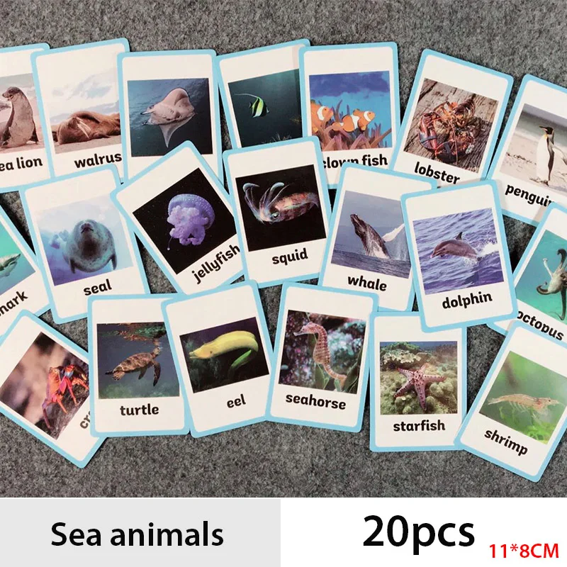 12 шт./компл. животные части тела карманная карта для слова английский язык