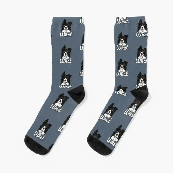 

Border Collie What Sticker Crew Socks Knee High Black Best Women Mens Ankle