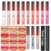 20 colors private label lip gloss clear shiny shimmer lipgloss wholesale liquid lipstick lip tint cosmetics custom logo