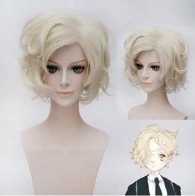 

(Alice-Wig 100) Heat Resistant Fiber Hairpiece Synthetic Hair Wig Anime Touken Ranbu Online Cosplay Wig