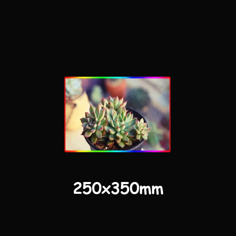 

XGZ Cute Succulent Plant Pattern Custom Large RGB Mouse Pad Black Lock Edge Computer Keyboard Desk Mat Speed Rubber Non-slip Xxl