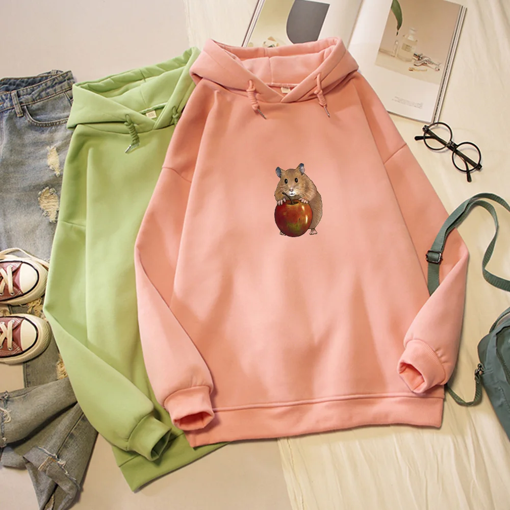 Harajuku Kawaii Cartoon Print Hoodies Women Plus Size Casual Pullover Hoodie Long Sleeve Sweatshirt Soft Sweetshirt for Girls