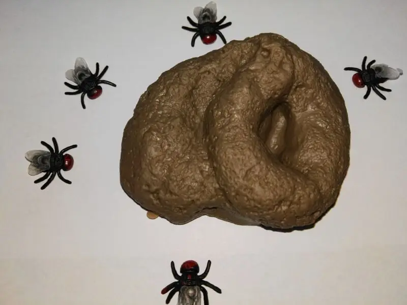 Легкий Ванная комната для розыгрыша искусственный вечерние Pooper дерьмо какашка