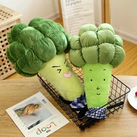 1pc 5565 cartoon plantaardige knuffel creatieve broccoli pluche kussen kinderen zachte knuffels kinderen verjaardag gift wj126