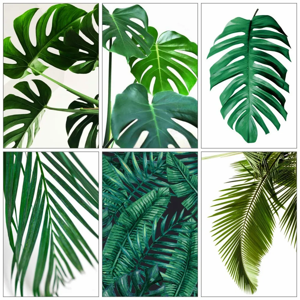 

Размер холста 5d DIY Вышивка крестиком листья монстеры Алмазная картина полностью квадратная Мозаика Цветок ладонь Стразы картина