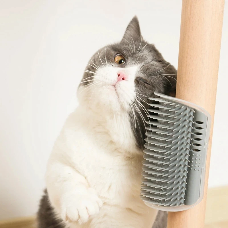 

Pet Products For Cats Brush Corner Cat Massage Self Groomer Comb Brush With Catnip Cat Rubs The Face A Tickling Comb Cat Produc