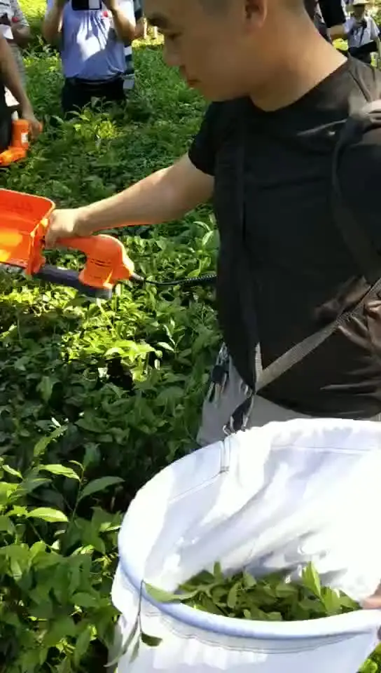 

Портативная электрическая машина для выщипывания чая на батарейках, ручная машина для сбора чая из листьев комбайн для сбора чая без щетки