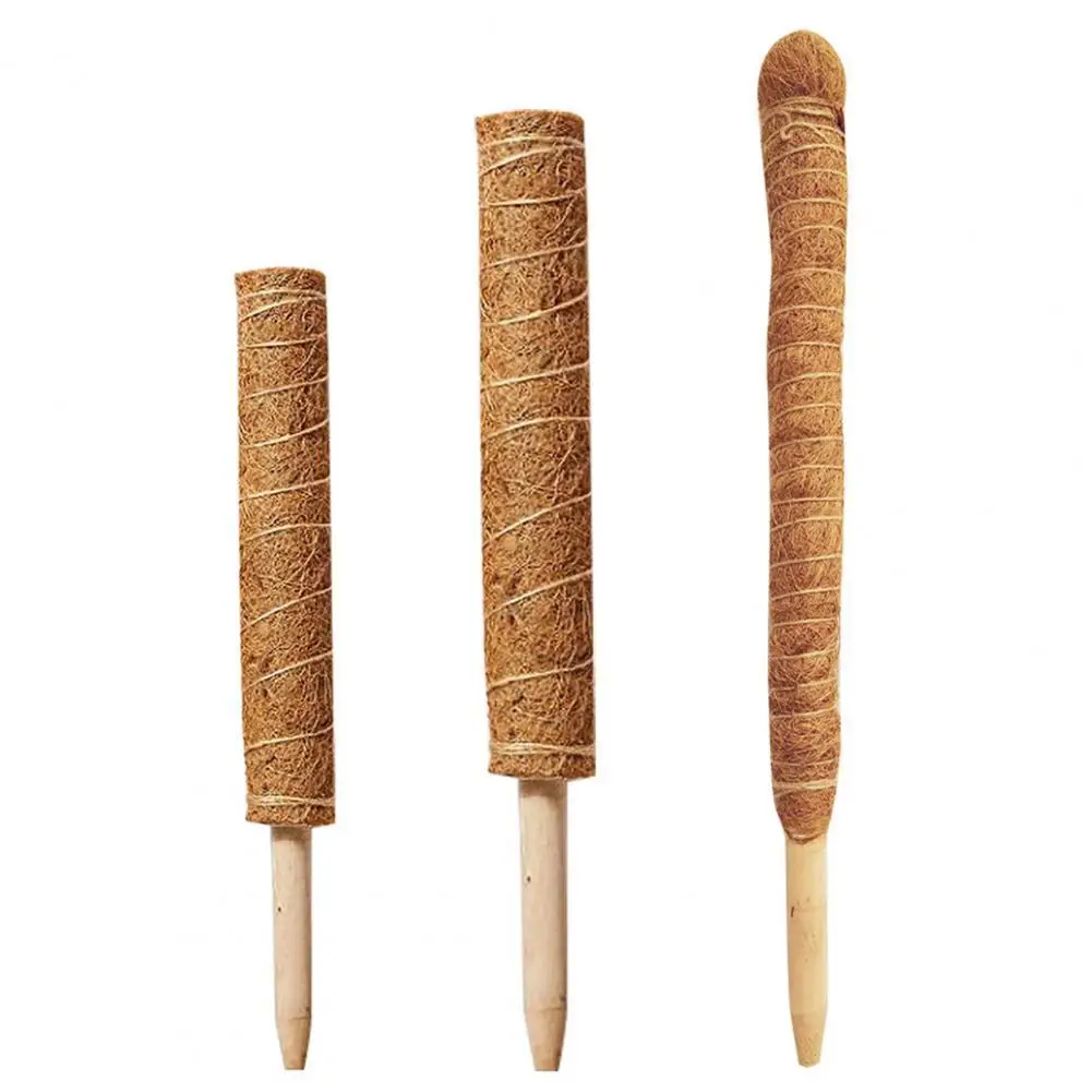 

Plant Support Pole Stackable Durable Wooden Coir Moss Totem Pole for Indoor Plant